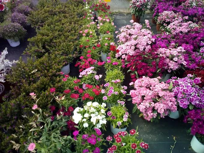 Arreglos florales